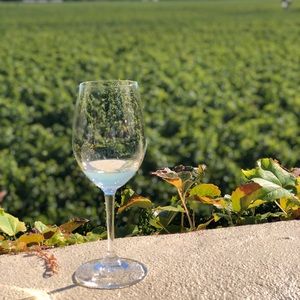 Meet your Posher, Shana